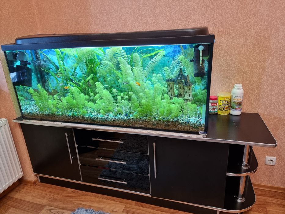 Акваріум з тумбою, цілий комплект, 2 фільтра, обігрівач, грунт, риби.