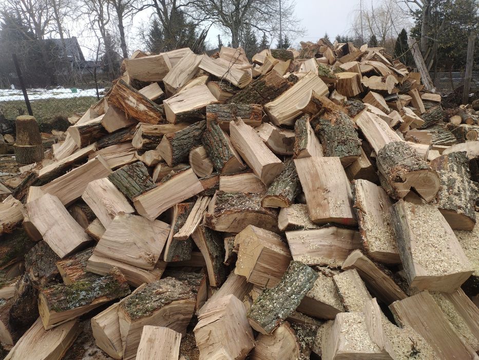 Drewno kominkowe