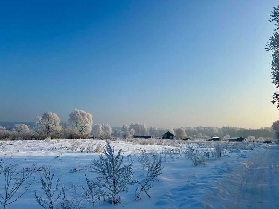 Ranczo,  7km od Gdańska, bez sąsiadów, wsród natury