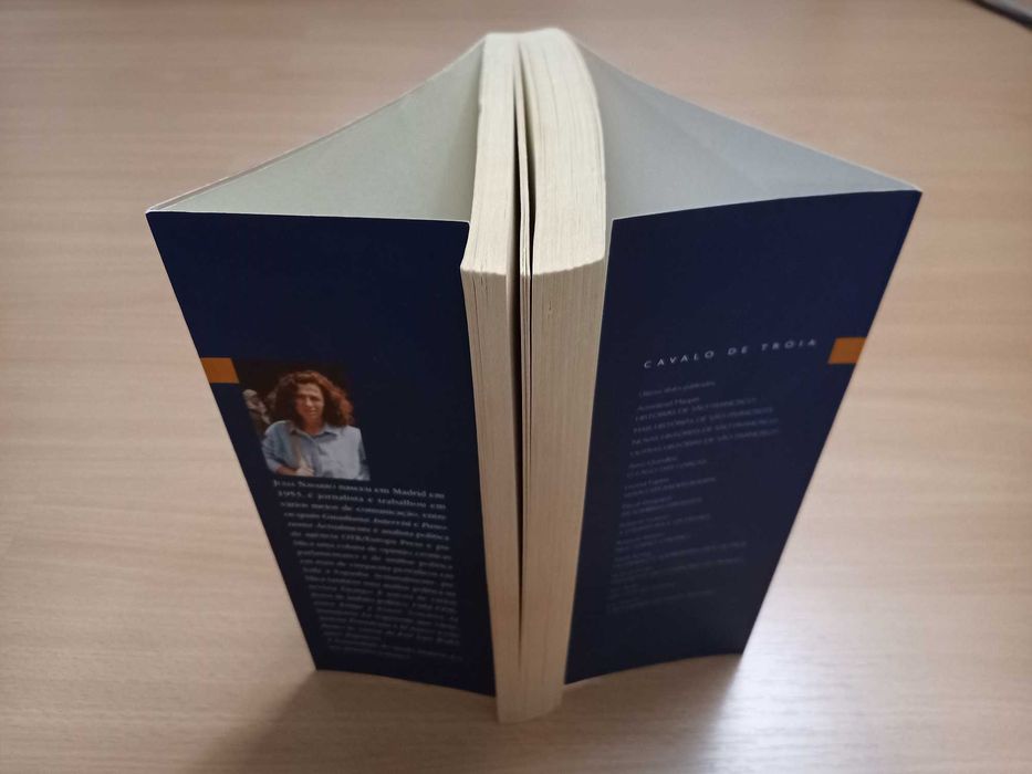 A Irmandade do Santo Sudário, Julia Navarro