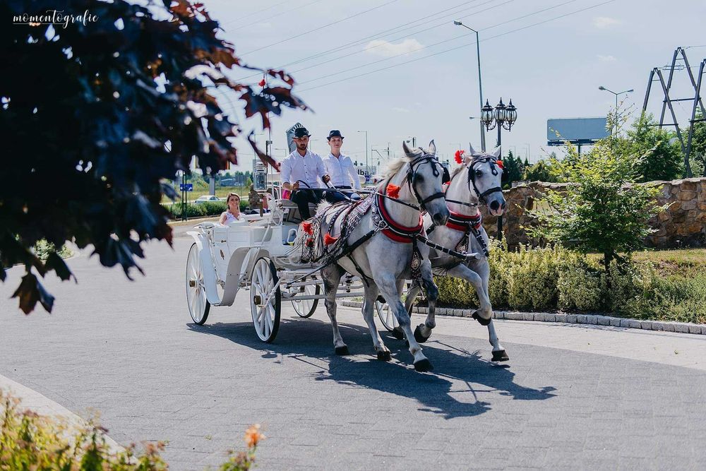 Bryczka do Ślubu Zakopane Katowice Warszawa