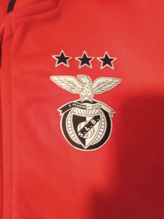 Camisola Benfica oficial 12/13 anos/ 155cm