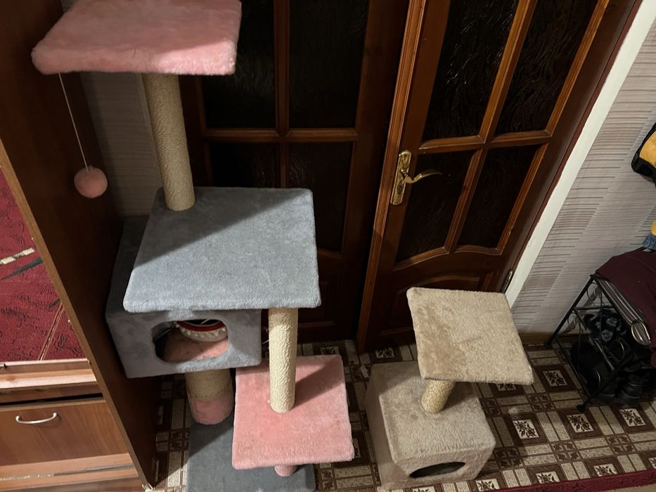 Котячі доміки