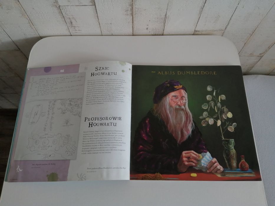 Harry Potter - Podróż przez historię magii.