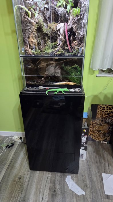 Paludarium Terradise 50x50x80