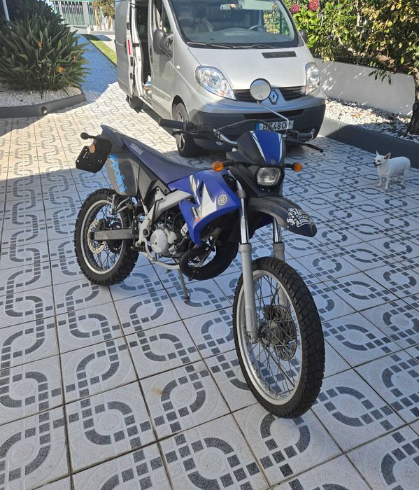 Motas i motores dt pitbikes
