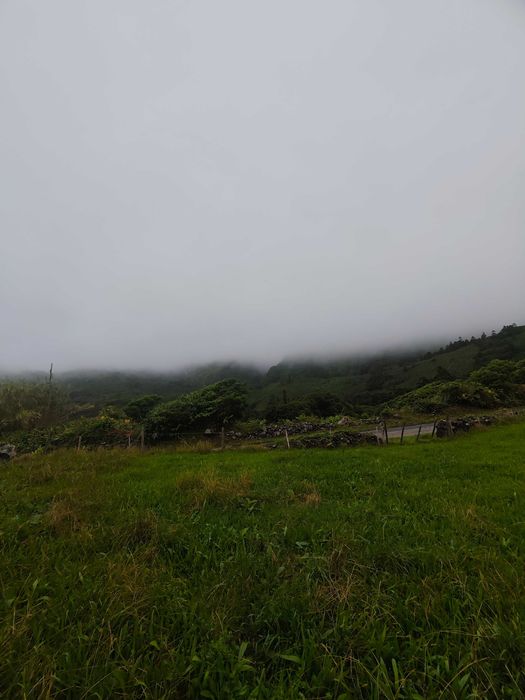 Terreno com palheiro