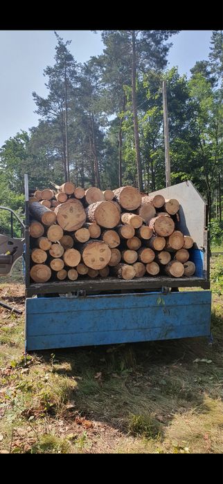 Drzewo drewno opałowe okazja sosna brzoza dąb olcha opał