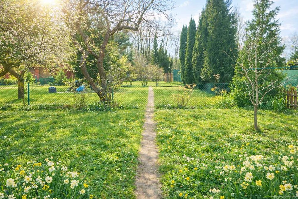 Działka ROD 200 m² z drewnianym domkiem z 2019 ŁódźZielona Polana przy Ghandiego - Widok 2