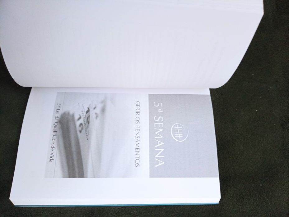 Doze Semanas para Mudar Uma Vida , de Augusto Cury - 2006