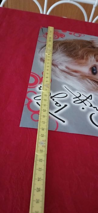 Poster Taylor Swift/Mcfly, com defeito