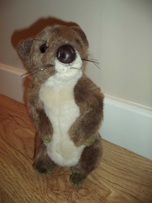 Peluche castor - novo