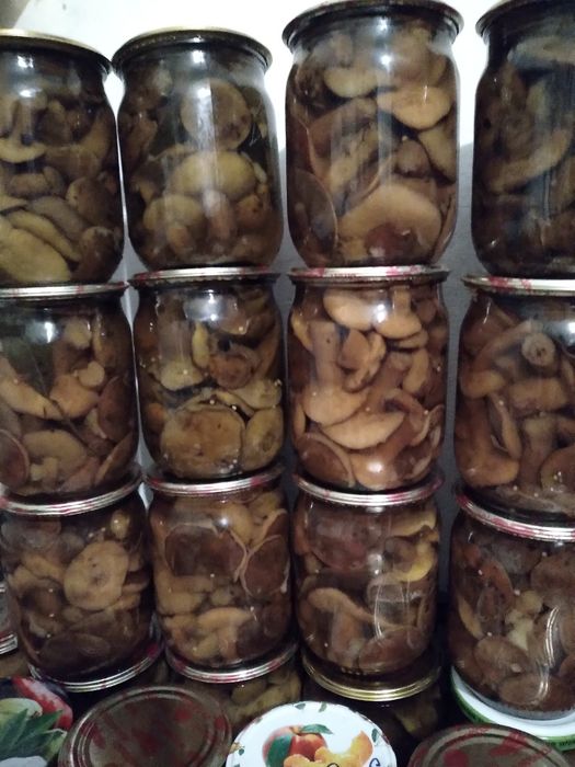 Гриби мариновані, вареня чорниці ,сушені та квашені . Гриби — купити