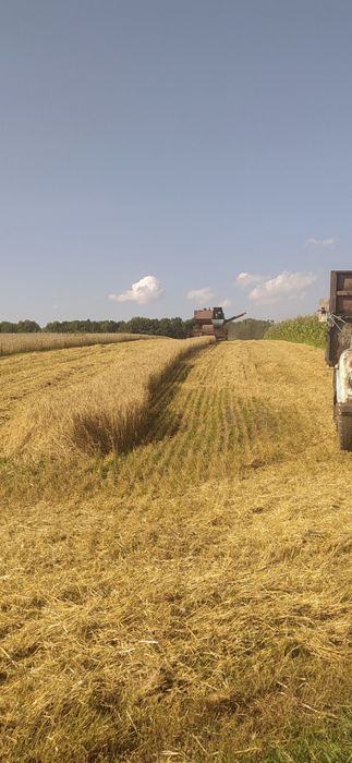 Продам комбайн нива, Нива ск-5