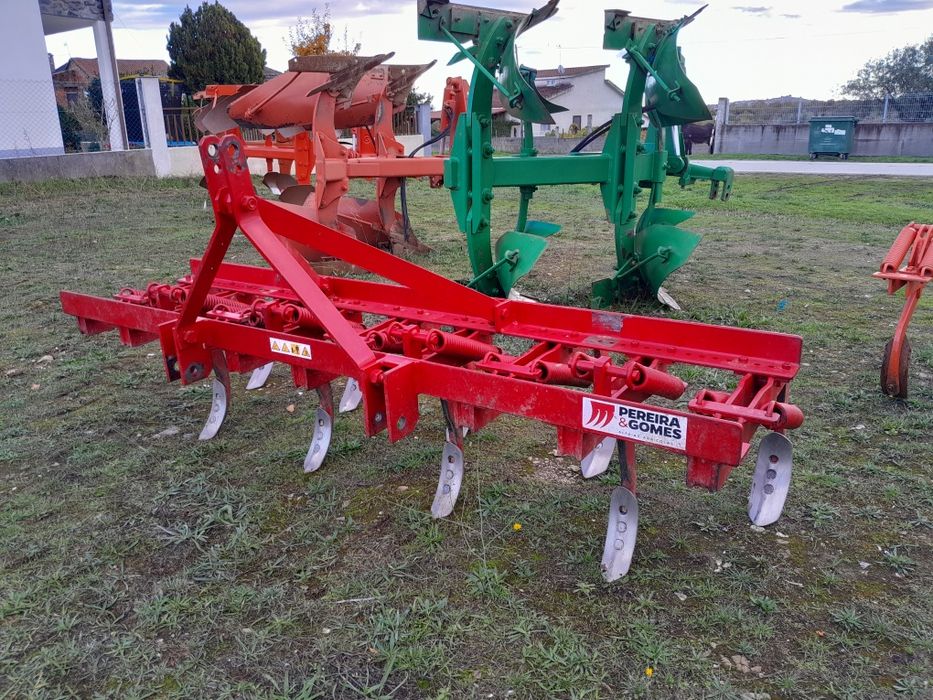 Charruas de vários tamanhos