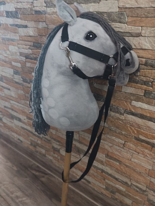 Hobby Horse A 2.