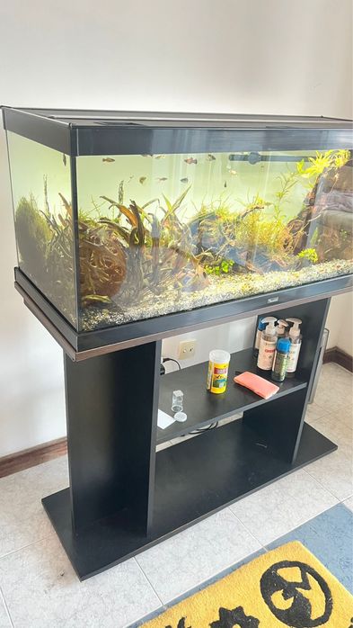 Aquario 150ltr completo