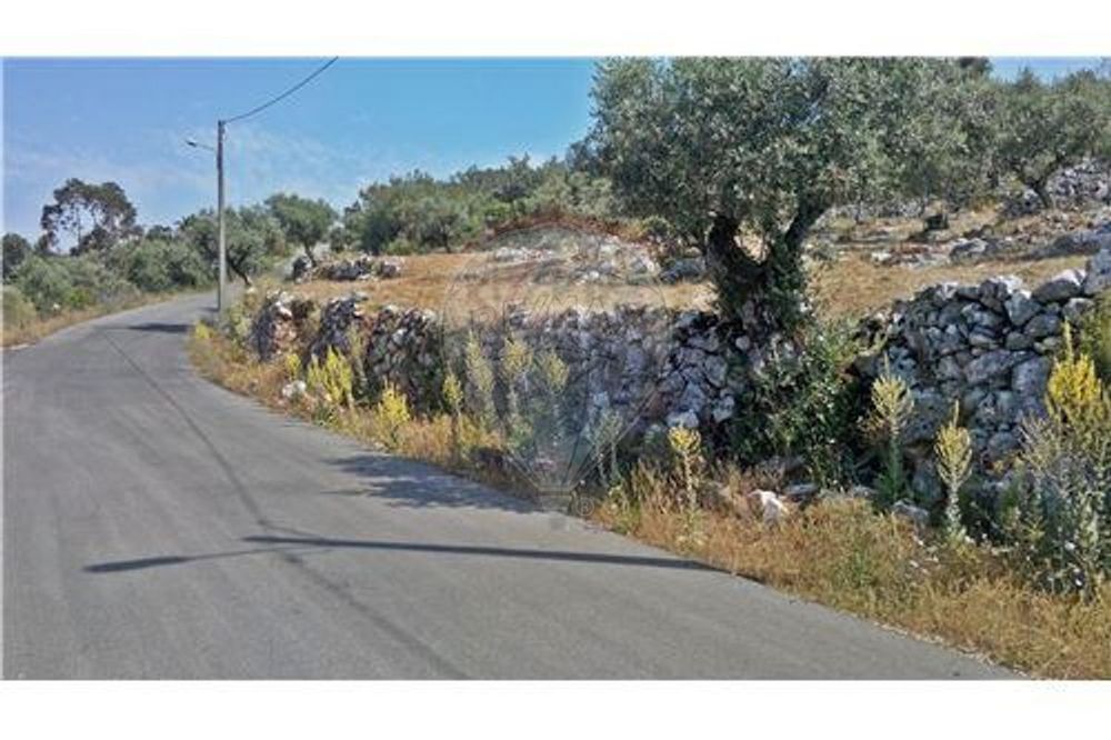 Terreno  para venda — Pelariga, Leiria