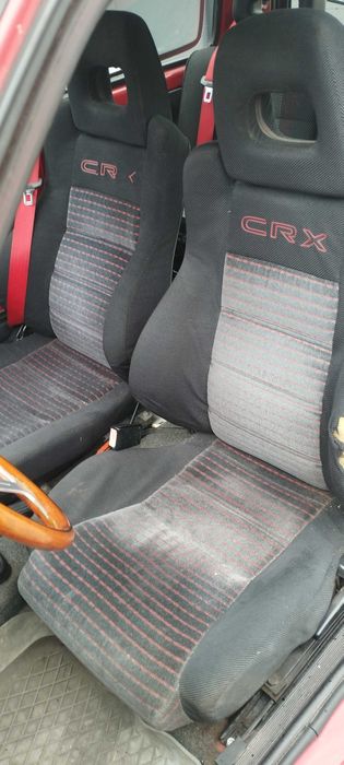 Cinquecento sporting kjs