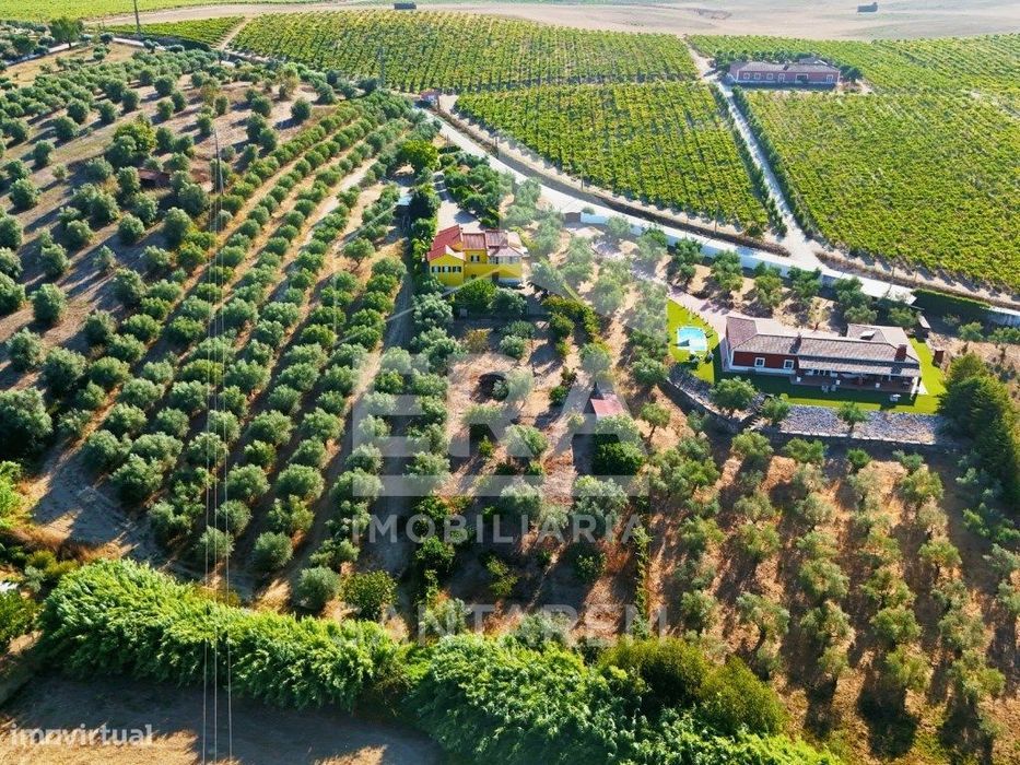 Moradia T4 inserida num terreno com 3.720 m²