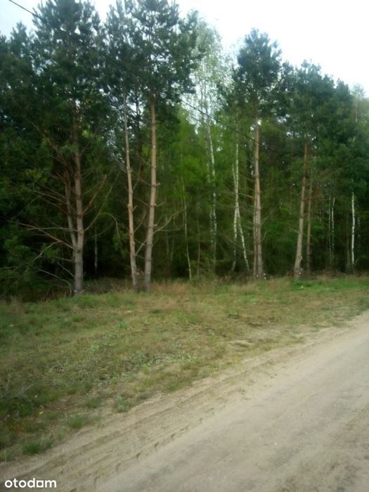 Sprzedam działki budowlane - Widok 2