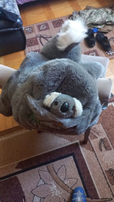 Plecaczek  misiu Koala