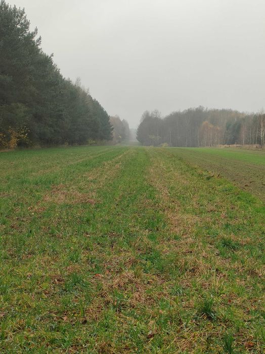 Ziemia rolna 2.4h