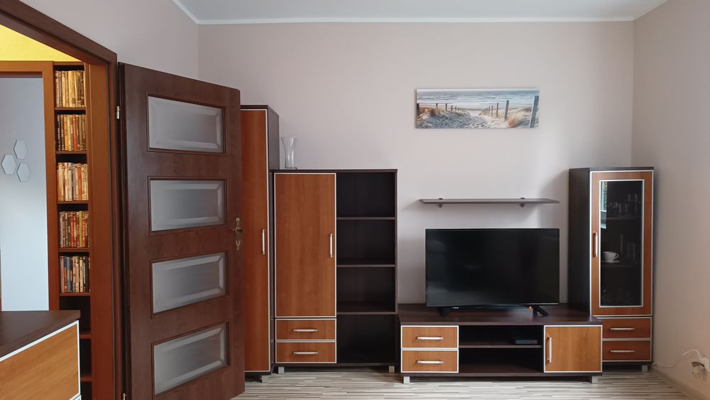 Mieszkanie 2-pokojowe do wynajęcia w centrum - View 2