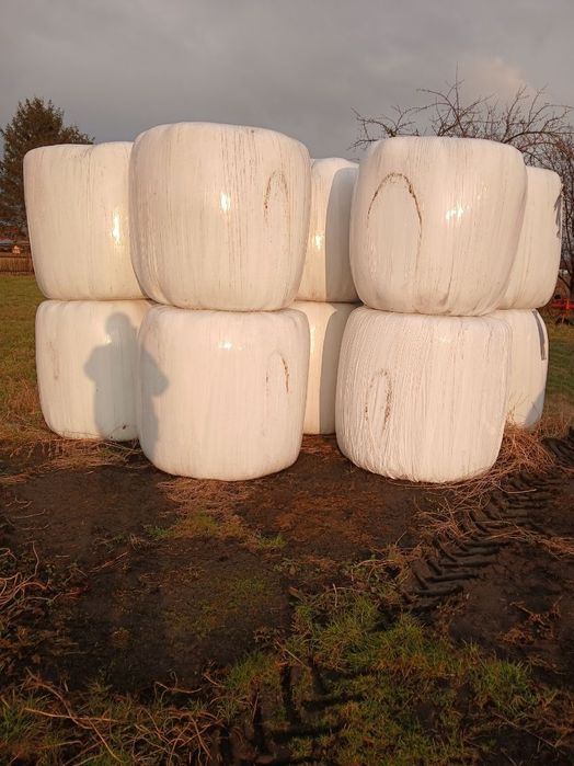 Baloty sianokiszonka