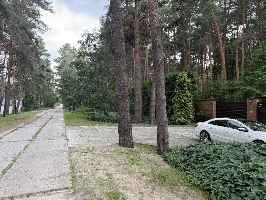 Продаж Краща ділянка Козин Конча Заспа 50 соток Сосновий Бір Ліс Сосни