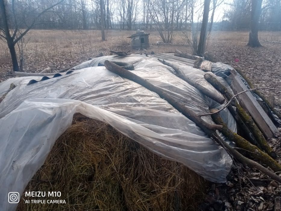 Продам Сено луговое летнего покоса 2024 года. года