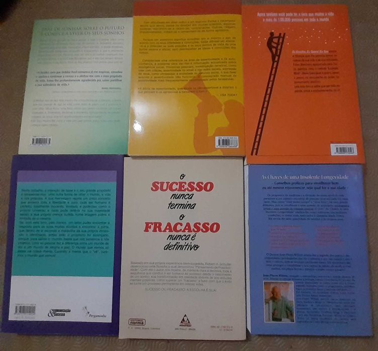 O Melhor Ano da Sua Vida - A Fonte Do Sucesso e outros