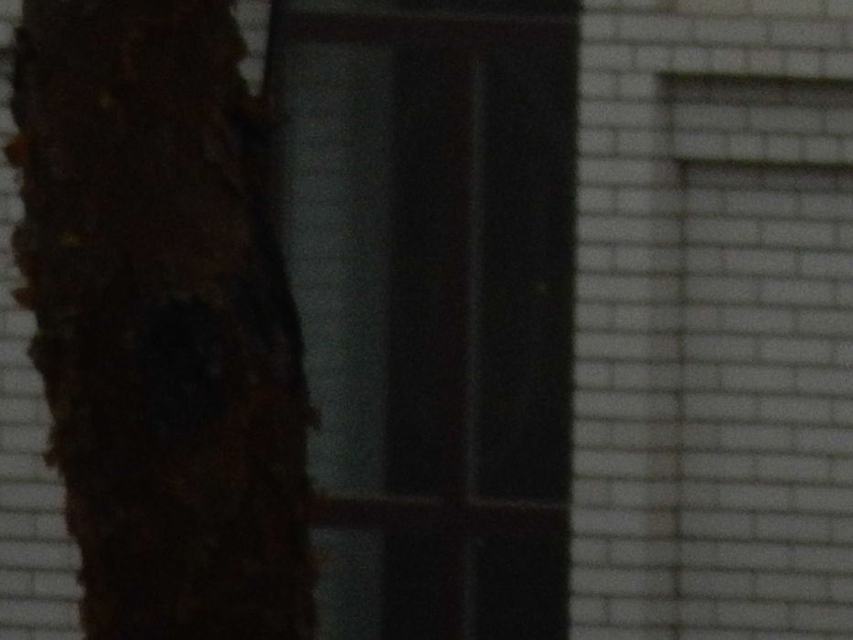 Фотоаппарат Nikon Coolpix S9600