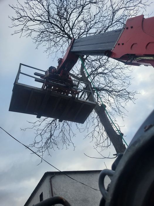 usługi ładowarką teleskopową zasypanie fundamentów zebraanie humusu