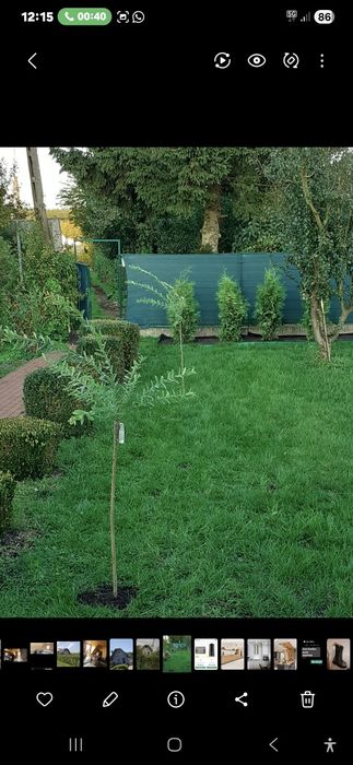 Sprzedam działkę ROD