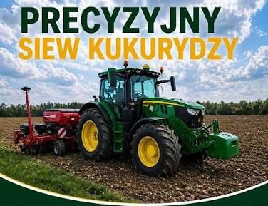 Usługa Siewu kukurydzy