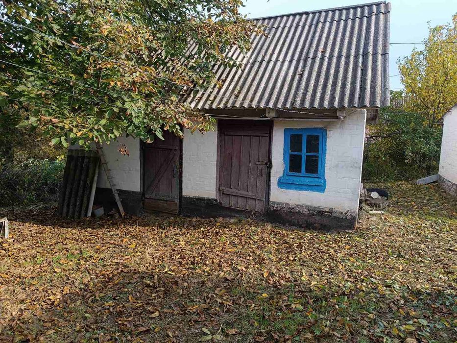 Продається будинок в смт Володарка