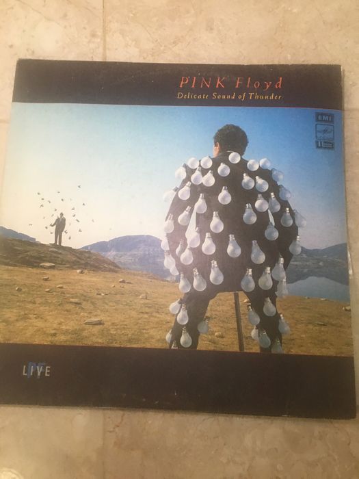 Платівка вінілова Pink Floyd Delicate Sound of Thunde в гарному стані