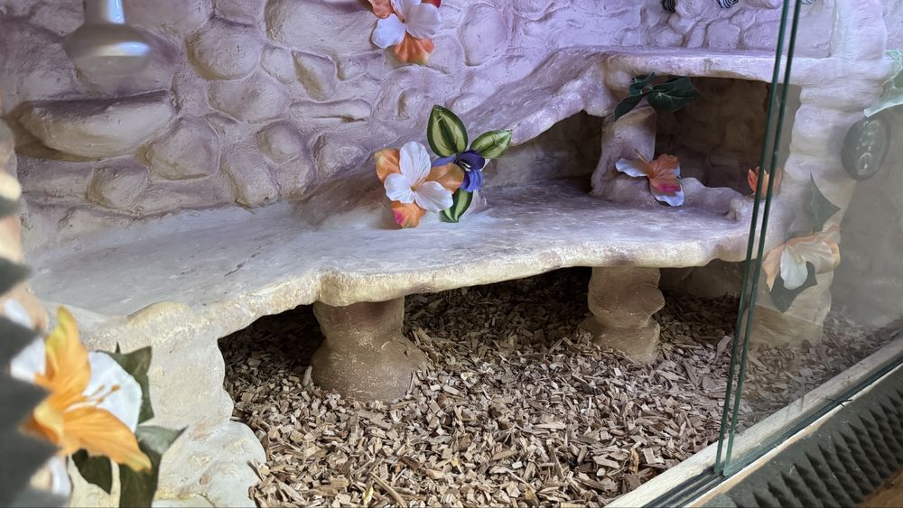 Terrarium 2w1 ręcznie wykonane