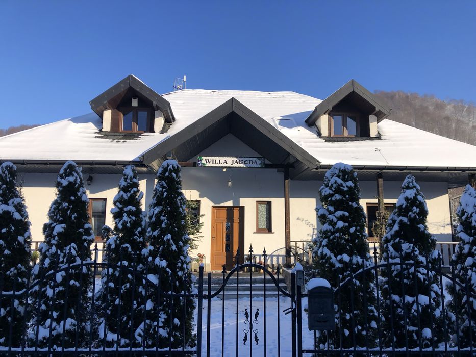 Willa Jagoda duży domek w górach 12 osób jacuzzi kominek bilard