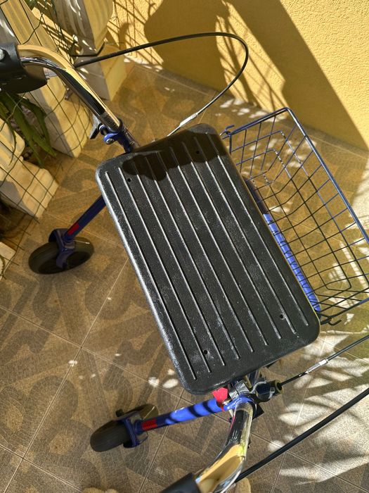 Andarilho com rodas novo