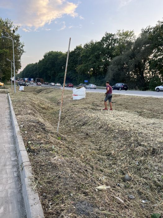 Чистка ділянок. Косіння трави  зрізання дерев  кущів вивіз