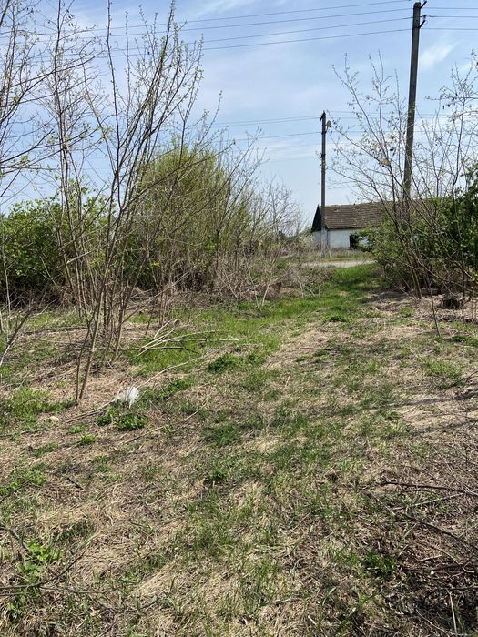 Терміново! Продам земельну ділянку 0,25 га в с. Сурсько - Михайлівка