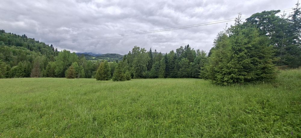 Działka Glinka Smerekow - Widok 2