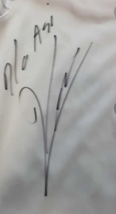 Koszulka Reprezentacji Polski z autografami zawodników.