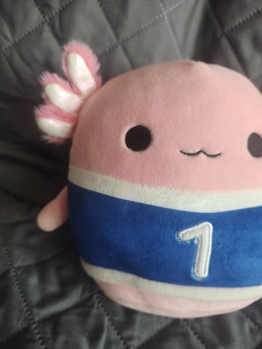 Squishmallows Axolot Archie 19cm maskotka