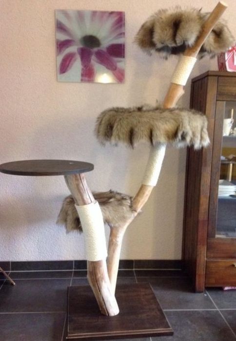 Кігтеточка, будиночок, дряпка для котиків