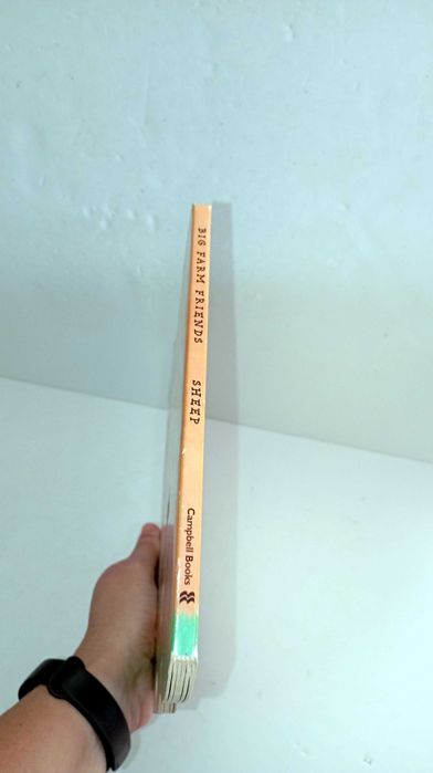 Big Farm Friends - Sheep (livro em Inglês)