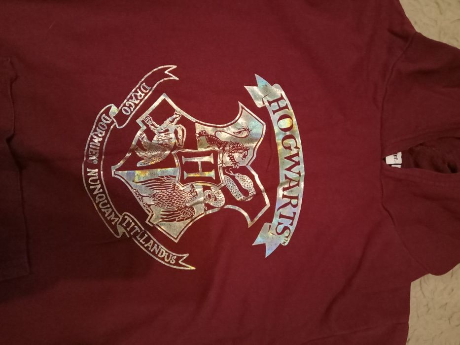 Bluza Harry Potter