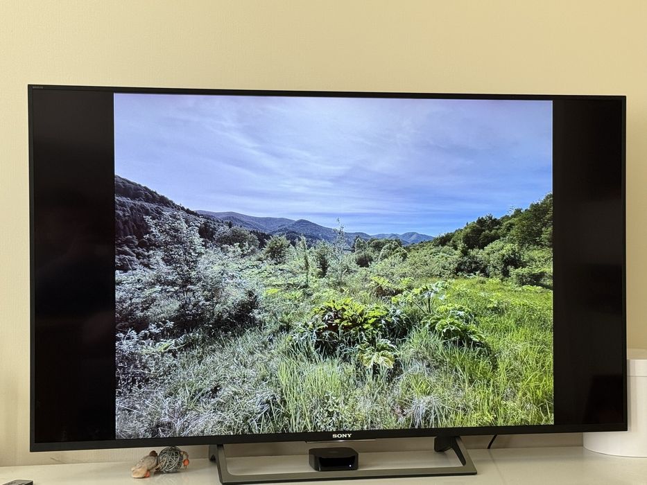 sony 55 - купити телевізори - Ціна на OLX.ua